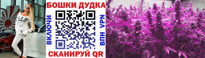 Где можно купить наркотики Кызыл MDMA  МЕФ  Гашиш  A PVP  Псилоцибиновые грибы 
