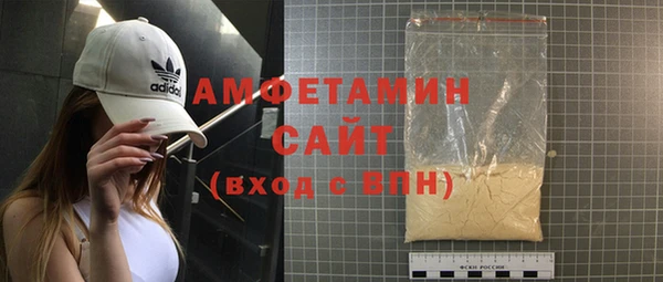 молекула духа Вяземский