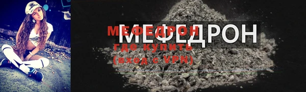 молекула духа Вяземский