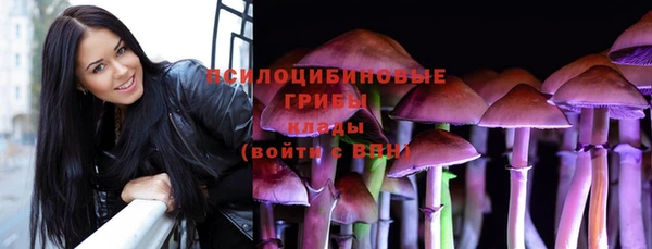 молекула духа Вяземский