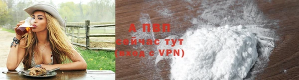 молекула духа Вяземский