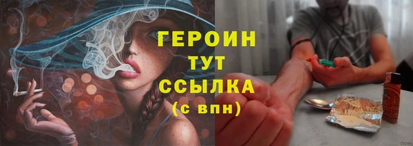 молекула духа Вяземский