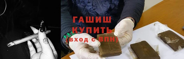 молекула духа Вяземский
