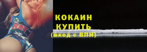 молекула духа Вяземский
