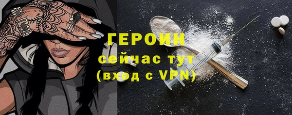 молекула духа Вяземский