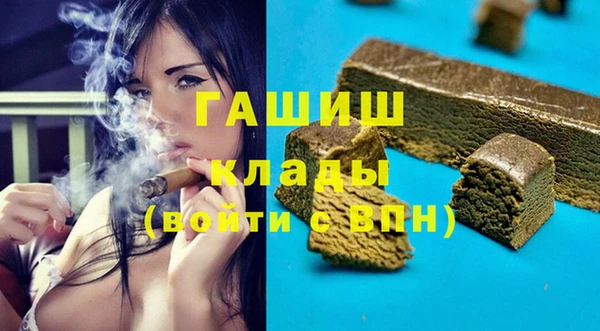 молекула духа Вяземский