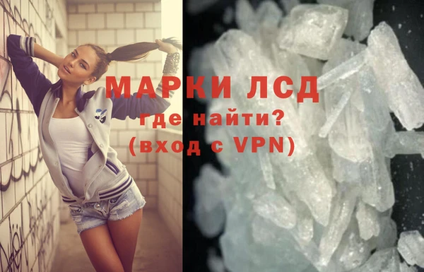 молекула духа Вяземский