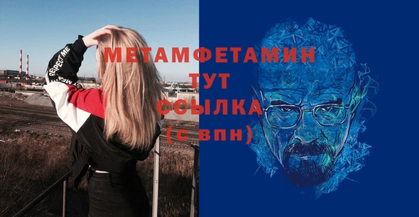молекула духа Вяземский