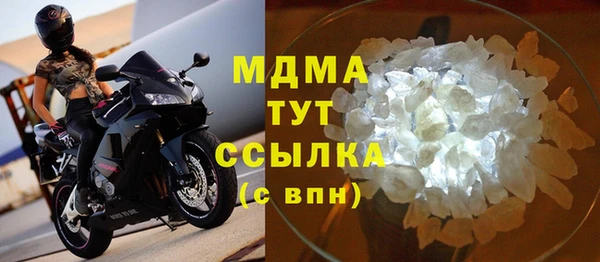 молекула духа Вяземский
