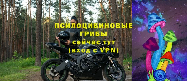 молекула духа Вяземский