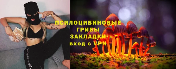 амф Вязьма